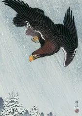 原画 『 ハーピーイーグル 』アクリル水彩画 絵画 アート イラスト 鷲 原画 『 ハーピーイーグル 』アクリル水彩画 絵画 アート
