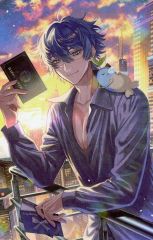 中古】ヴァイスシュヴァルツ ISC/S81-069WIR[WIR]：(ホロ)サン