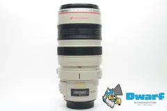 CANON EF 28-300mm F3.5-5.6 L IS USM #287