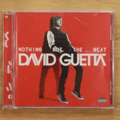EDM レコードまとめ売り2枚セットdavidguetta デヴィッドゲッタ EDM レコードまとめ売り2枚セットdavidguetta デヴィッドゲッタ