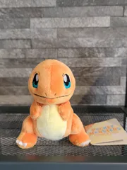 【在庫ラスト】激レア‼️ 販売終了品‼️ 三栄貿易 ポケットモンスター ALLSTARCOLLECTION ぬいぐるみ ミニ ヒトカゲ  ポケモン マスコット