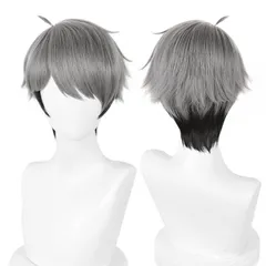 【特価商品】仮装 コスチュム 仮装 イベント パーティー コスチューム小物 アニメ かつら ウィッグネット付き 耐熱 コスプレウィッグ 宮治 ハイキュー!! 猫の城