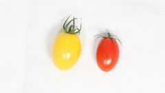 【タイムセール！残りわずか！】高糖度フルーツミニトマト　2種ミックス　計1kg