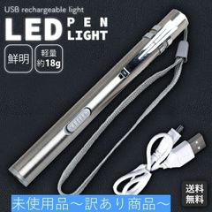 【B品】ペンライト led ペン型ライト 小型 軽量 防災 コンパクト ステンレス 明るい スティックライト クリップ シルバー 便利 ペンタイプ キャンプ 夜間 ledライト USB充電式 病院 看護師  安全 安心 緊急時 災害時 避難訓練 防犯グッズ