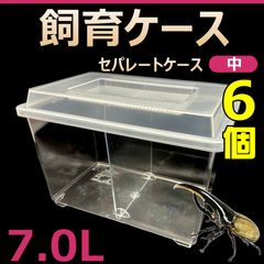 飼育ケース　セパレートケース　中　7.0L　新品　6個　カブトムシ・クワガタ 成虫飼育に最適　コバエ抑制