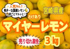【限定❣️先着2名様】訳ありマイヤーレモン3㎏/レモン　国産レモン　きんかん