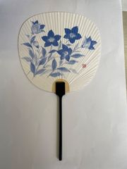 うちわ　花柄団扇　ききょう　新柄　15-656    税込み