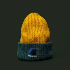 ADER ERROR(アーダーエラー) x ZARA(ザラ) ビーニー M