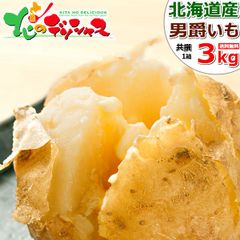 【予約/9月上旬(9月5日)頃～出荷予定】北海道産 新じゃが じゃがいも 男爵いも 3kg (JA共撰/M-LMサイズ) 馬鈴薯 ジャガイモ 男爵薯 食品 野菜 ギフト 贈り物 お祝い 内祝い プレゼント ご家庭用 北海道 グルメ お取り寄せ