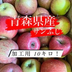 青森県産　サンふじ　加工用　10キロ