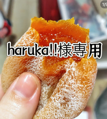 haruka‼︎様専用　干し柿　箱込み500g 8セット