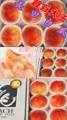 和歌山 特秀品【長田白鳳又は清水白桃 】5～6玉 大玉 約2.1kg ギフト お中元