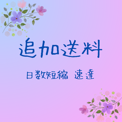 ★追加送料 　（速達）