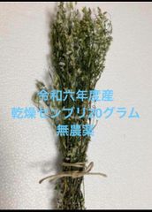 乾燥センブリ　生薬