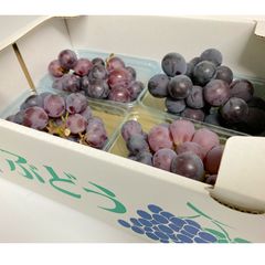 3️⃣ 山梨県産 あづましずく 9房入り 箱込5キロ - メルカリ