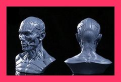 ギレン・ザビ胸像 「機動戦士ガンダム」 ビッグオブジェ - メルカリ
