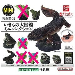 いきもの大図鑑ミニコレクション 両生類01 コンプリートセット 日本の清流セット いきもの大図鑑ミニコレクション 両生類｜ガシャポン