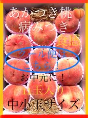 予約商品8月上旬〜8月中旬にかけ発送予定。お盆の手土産に！激甘っ。。9年の実績あり！　桃の女王　「木成り熟成・あかつき桃」