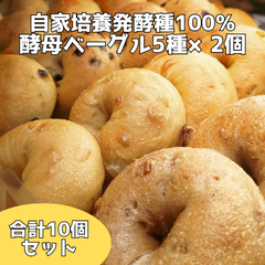 【国産小麦・自家培養酵母100％】酵母ベーグル5種×各2個 合計10個セット