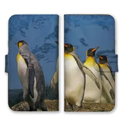 シンプルスマホ5 A001SH  ケース 手帳型  スマホケース 携帯ケース ペンギン 王様ペンギン オウサマペンギン コウテイ 動物 アニマル 写真 可愛い かわいい ブルー カラー04