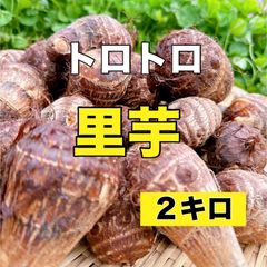 農家直送‼️掘り立て新鮮‼️トロトロの里芋２キロ‼️里芋