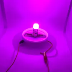 セール 爆光 デコトラ屋 正規品 高輝度 24V専用 BA15S S25 LEDバルブ 特殊レンズ搭載 シングル 平行ピン サイドマーカー バスマーカー ナマズ デコトラ レトロ 大型車 トラック 10個SET Bタイプ