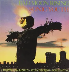 2025年最新】bad moon risingの人気アイテム - メルカリ