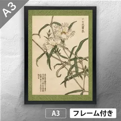 【菜花雲雀図】深田直城 2598 菜の花ひばり 共箱　掛け軸　肉筆 菜花雲雀図】深田直城 2598 菜の花ひばり 共箱 掛け軸 肉筆