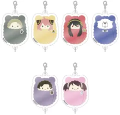 【新品】キーホルダー 【BOX】SPY×FAMILY ぷっくり連結ミニアクリルキーチェーン