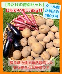 今だけ特別セット‼️2セット限定。じゃがいも、赤オクラ、ナス【なっちゃん野菜】