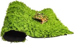 Item thumbnail for item 48029c01-c9e4-4b2d-8d81-c9df69add5e4