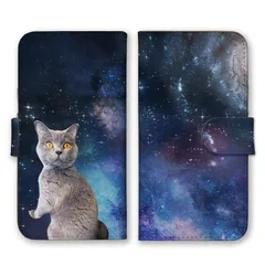 iPhone 17 Pro ケース 手帳型 アイフォン17プロ スマホケース 携帯ケース 宇宙ねこ 宇宙猫 パロディ おもしろい 面白い 猫 彗星 可愛い アメリカンショートヘア  カラー07