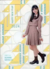 河田陽菜 ビッグ アクリルスタンド 日向坂46 福袋 2025 499.jpg