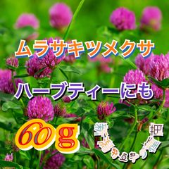 ムラサキツメクサ