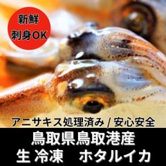鳥取県県産　生ほたるいか（生食用）10kg　アニサキス処理済み　冷凍