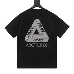 2024年最新】arc'teryx palaceの人気アイテム - メルカリ