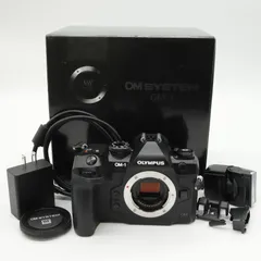 2025年最新】OLYMPUS om-1の人気アイテム - メルカリ