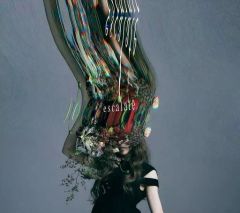 [중고] 애니메이션계 CD Aimer / escalate[DVD 첨부 첫회 한정판] ~애니메이션[NieR:Automata Ver1.1a]OP테마