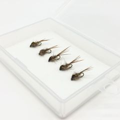 Item thumbnail for item 14ad08b4-77cb-41d2-b8cd-3171e89fe074