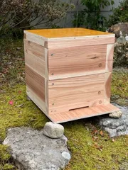 日本 みつばち 蜜蜂 ミツバチ 養蜂 飼育箱 重箱式 巣箱 組立済 完成品 国産 杉材 簡単 待ち箱 2段 セット