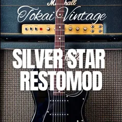 2025年最新】TOKAI SILVER STARの人気アイテム - メルカリ