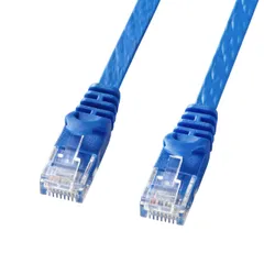 新品 サンワサプライ CAT6フラットLANケーブル (10m) 1Gbps/250MHz RJ45 ツメ折れ防止 ブルー LA-FL6-10BL