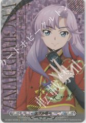 最新弾』ヴァンガード 【DZ-SS01】フェスティバルブースター2024 最新弾』ヴァンガード 【DZ-SS01】フェスティバルブースター2024