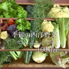季節の西洋野菜 100サイズ 野菜セット 野菜詰め合わせ