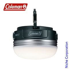 Item thumbnail for item 24caffdf-26d3-41f5-b426-0f16c434d31a