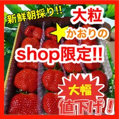 メルカリshop 新鮮朝採り 大粒いちご