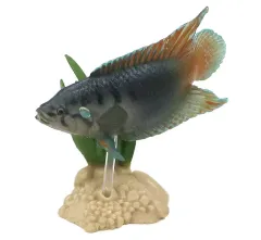 【中古】トレーディングフィギュア 10.チョウセンブナ(台座：ベージュ) 「原色淡水魚図鑑I」のサムネイル