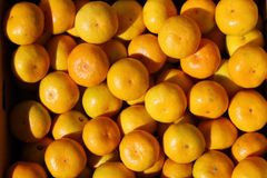 和歌山　有田みかん「小粒ちゃん」　3kg