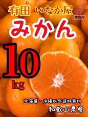傷あり！在庫少し！早い者勝ち！セール！和歌山　みかん　家庭用