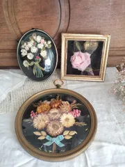 ガラスドームフランスアンティークアーツ&サイエンスマルタンマルジェラ